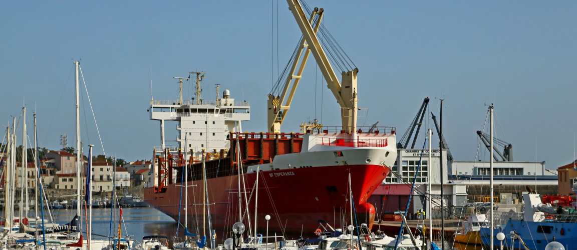 Modélisation économique du développement des activités portuaires du